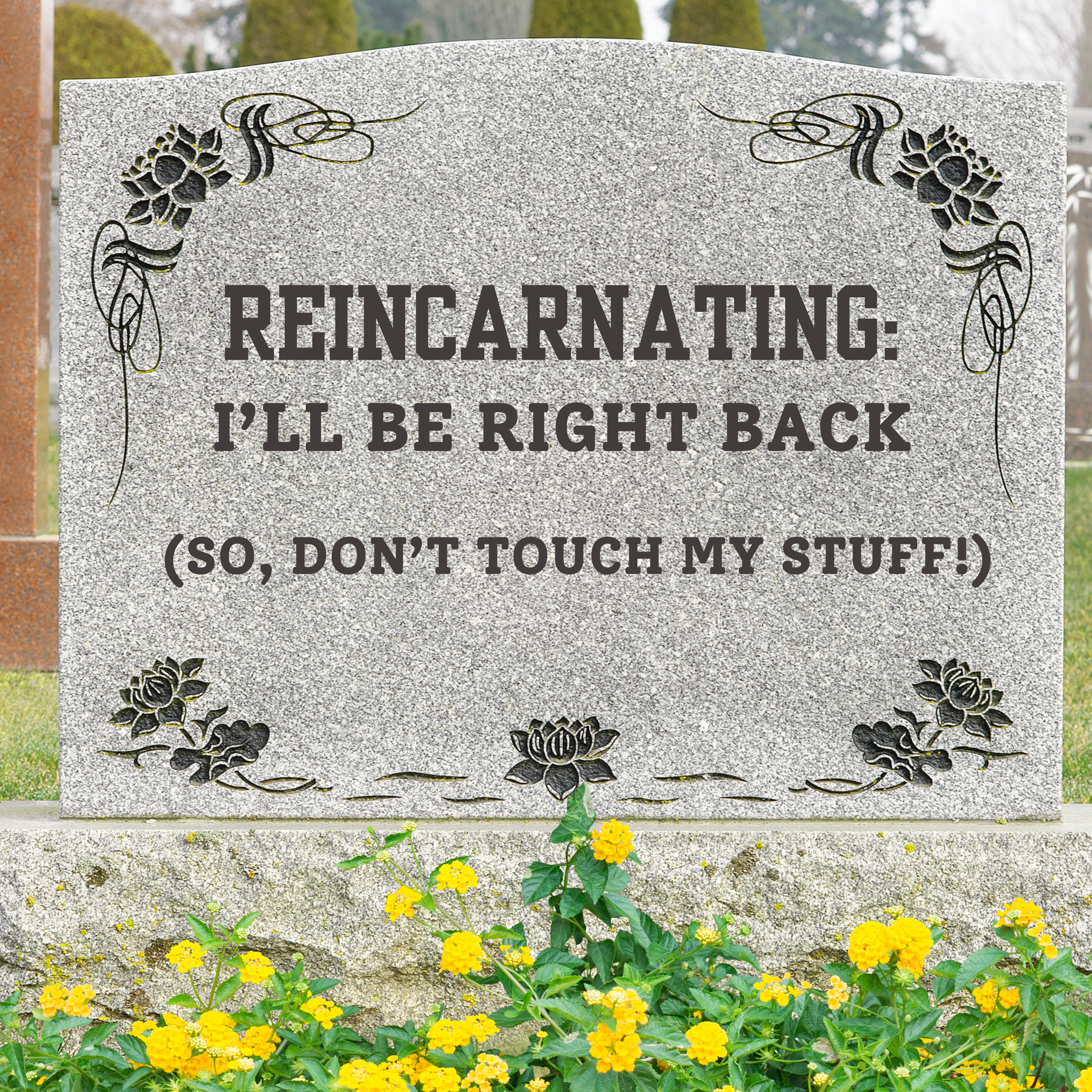 Reincarnating